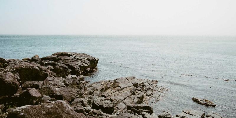 从爱心捐助到项目引领：志愿服务中的领导力成长阶梯