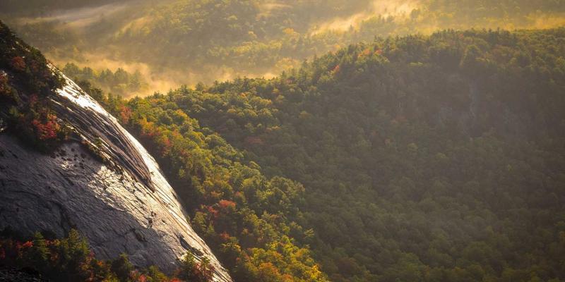企业员工志愿服务日：从策划到影响力评估的全流程指南，打造有温度的社区服务与公益项目
