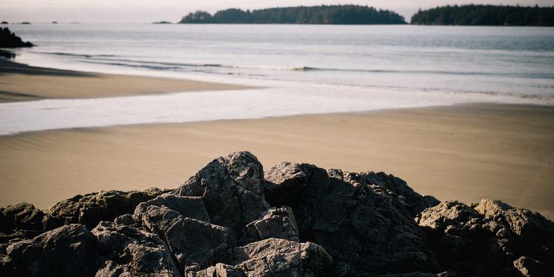家庭志愿服务模式探索：以亲子公益促进代际沟通与社会责任感培养