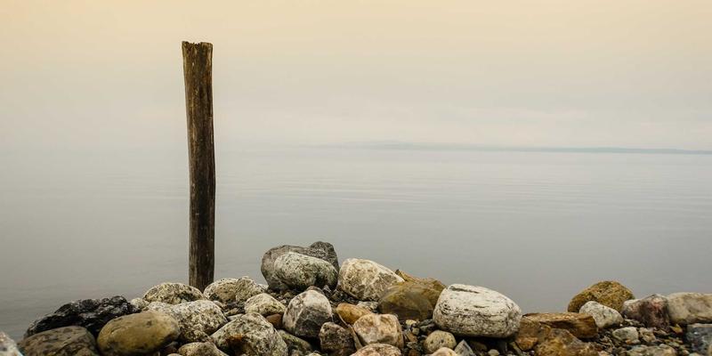 志愿服务与社区治理的协同创新：以居民自治为核心的公益项目实践