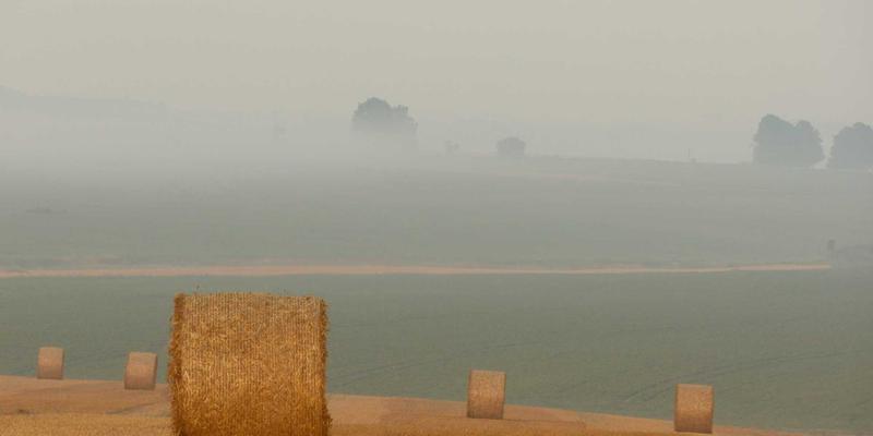 志愿服务中的伦理困境与边界探讨：如何平衡爱心捐助与专业服务