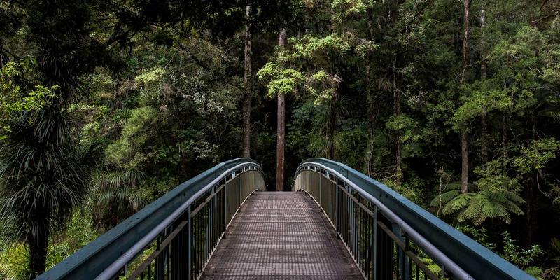 志愿服务平台如何赋能企业ESG战略：量化社会公益与爱心捐助，提升品牌价值与投资吸引力