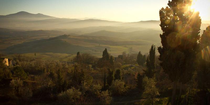 志愿者服务2.0时代：数字化平台如何重塑社会公益与爱心捐助新生态