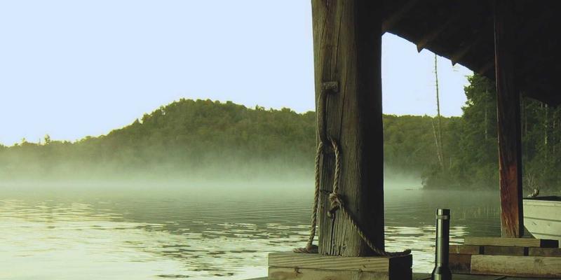 志愿者服务54：数字化平台如何重塑社会公益与爱心捐助新生态