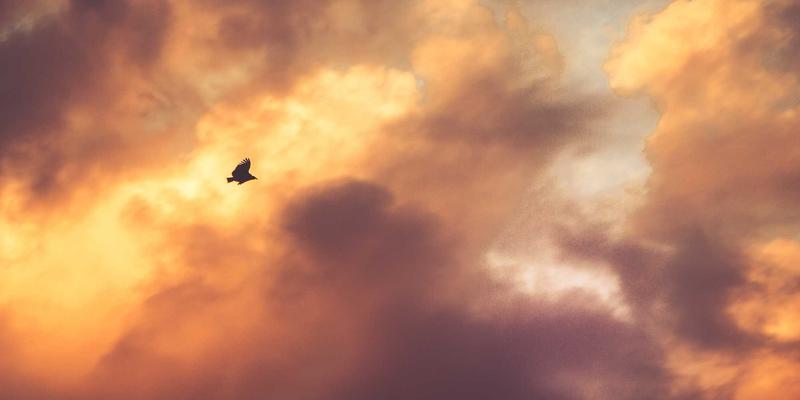 志愿者服务56：以数字赋能社会公益，构建可持续公益新生态