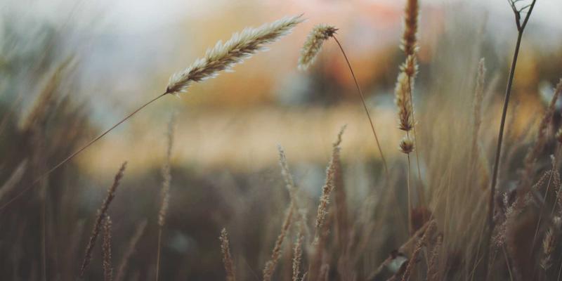 志愿者服务81：数字化时代社会公益的创新实践与平台赋能