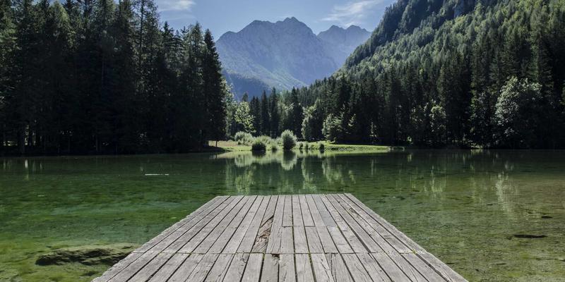 志愿者服务84：数字化平台如何重塑公益项目与社区服务新生态