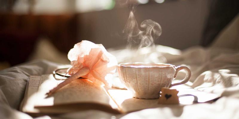 志愿者服务88：数字化平台如何重塑社会公益新生态