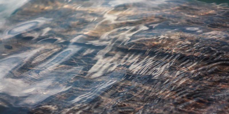 志愿者服务91：点亮社会公益之光，共筑温暖社区