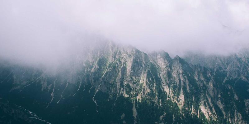 构建无障碍支持体系：赋能残障人士深度参与公益项目与社区服务