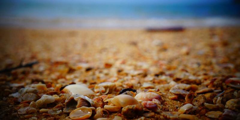 社会公益如何塑造未来：青少年参与社区服务的早期教育策略