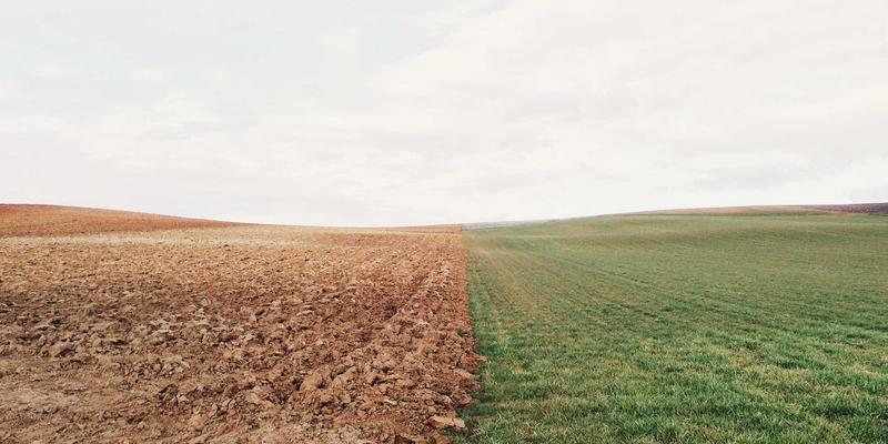 青年志愿服务与职业发展：如何将公益项目经历转化为职场核心竞争力